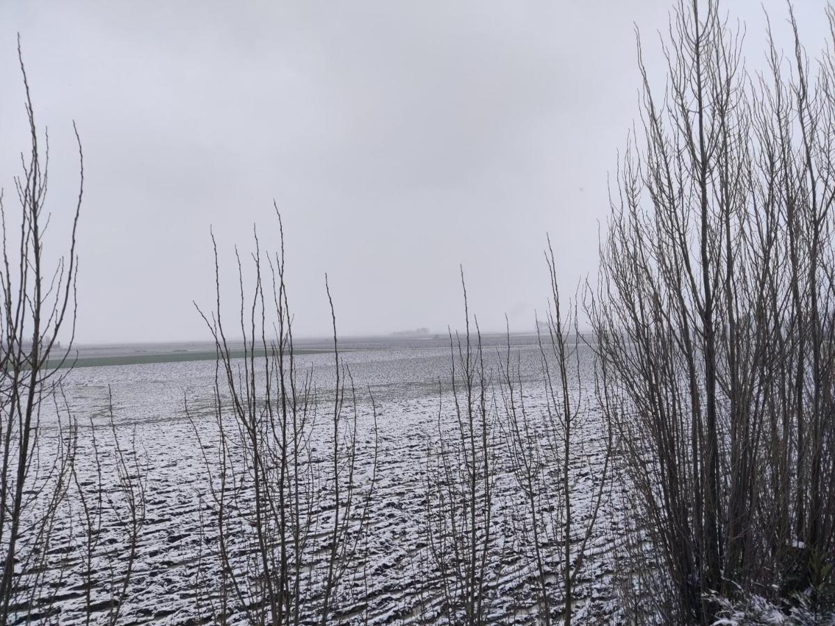 Vakantiehuis De Maretak Vlakbij Brugge & De Kust Meetkerke Exteriör bild